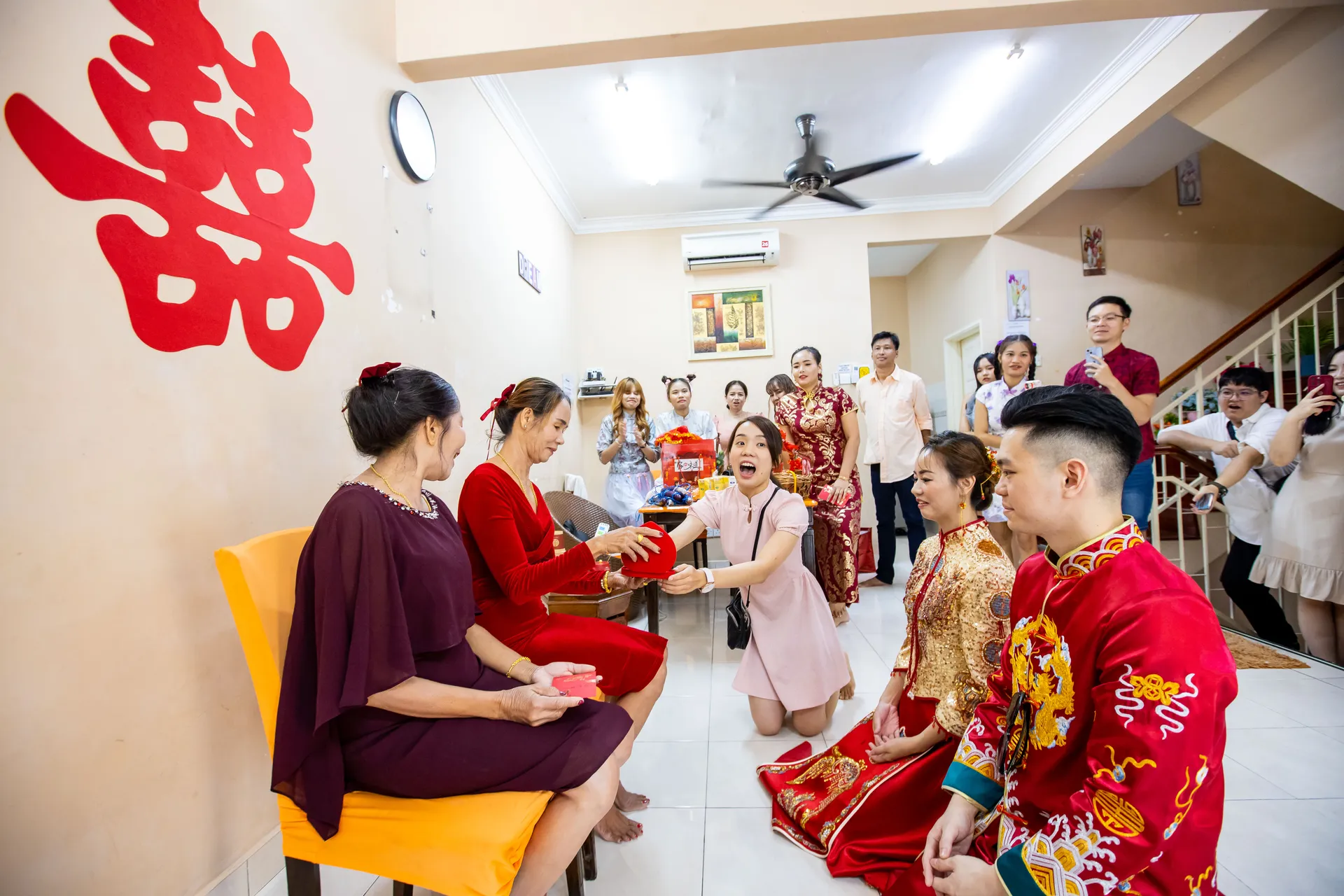 Daikam Purple's Attentive Guidance 1